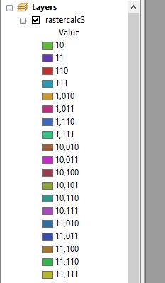 to the meaning of each value from the perspective of suitability. Raster
