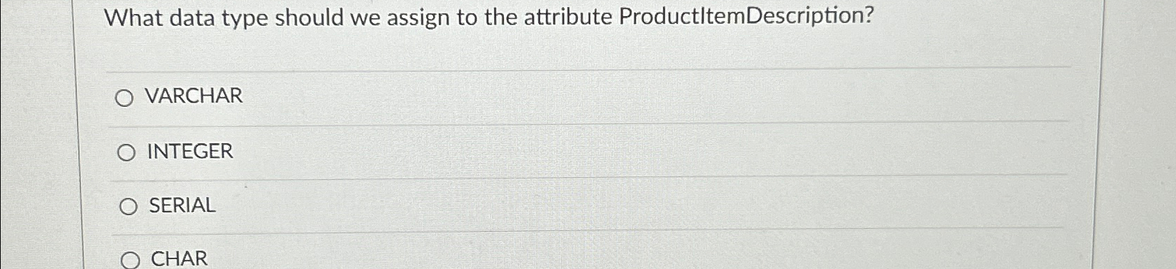  What data type should we assign to the attribute ProductltemDescription? VARCHAR