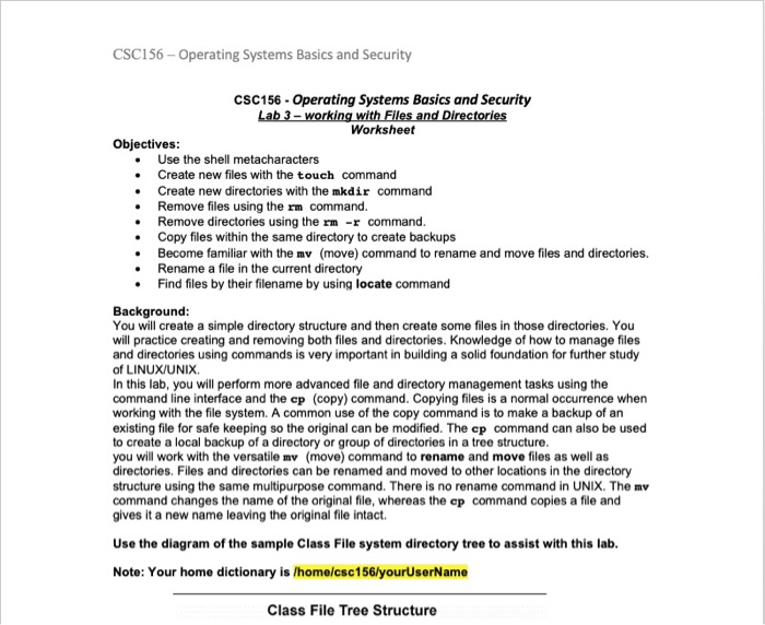  CSC156-Operating Systems Basics and Security CSC156-Operating Systems Basics and Security Worksheet