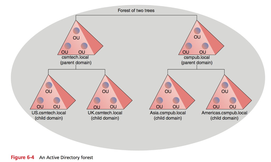 created. However, now that the company has grown to more than 50