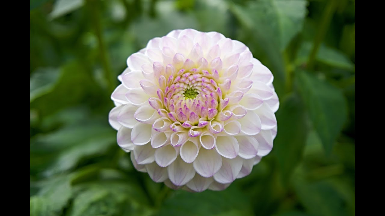 In this lab, we will explore image processing, using some common operations.