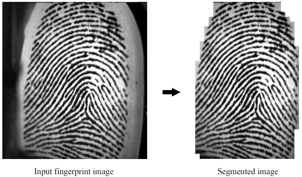 [Python] [OpenCV] Fingerprint Segmentation Implement the following skeleton code of Fingerprint Segmentation