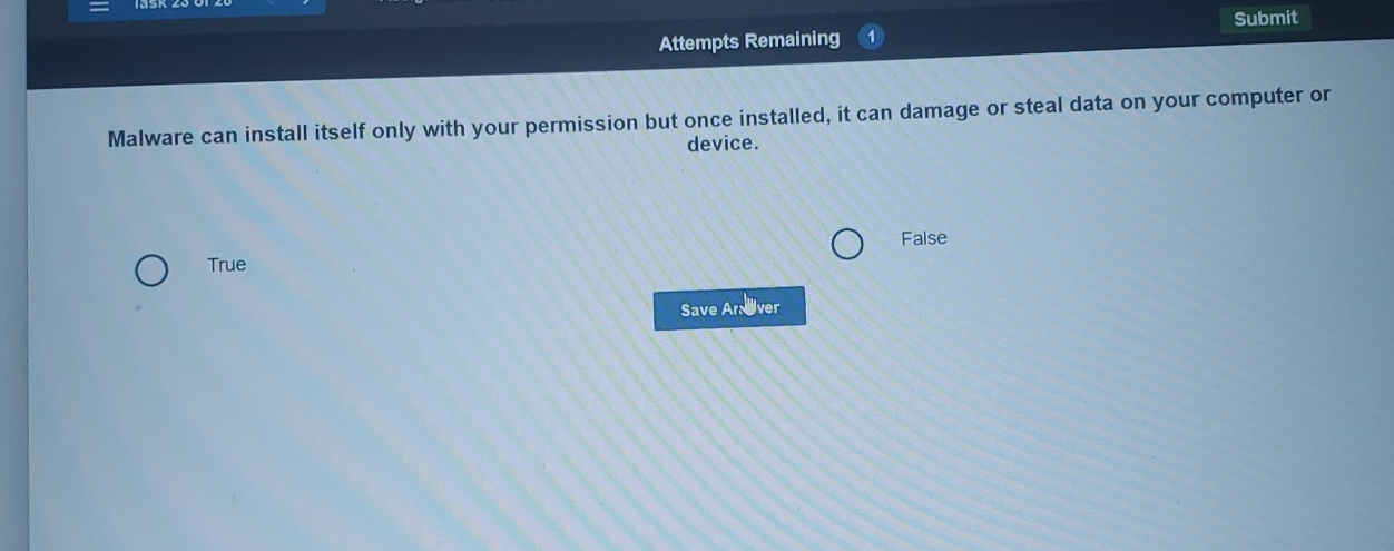  Attempts Remaining Submit Malware can install itself only with your permission