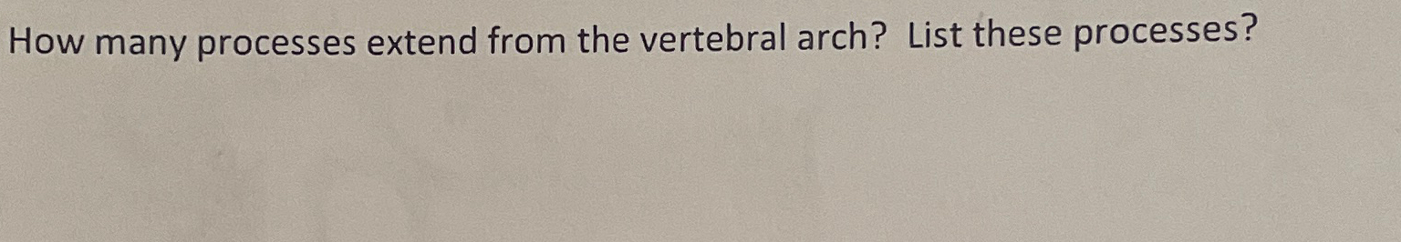  How many processes extend from the vertebral arch? List these processes?