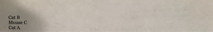 standing at integral points on a line. Cat A is standing at