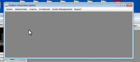 JAVA PROGRAM The application should allow you 1. Collect student information and