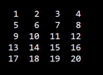 Create a grid using vector of vector, the size (row * column)