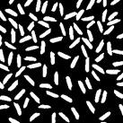 from the background. 1. Include comments 2. do not use matlab built