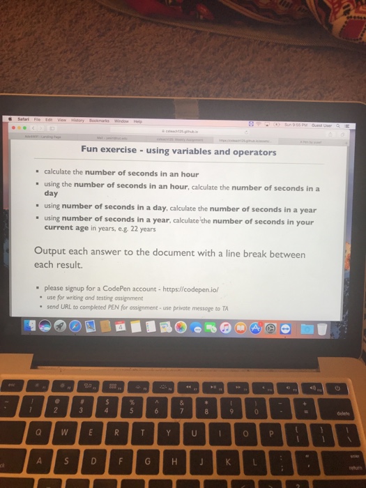  How can i put this in the website codepen.io ?? I