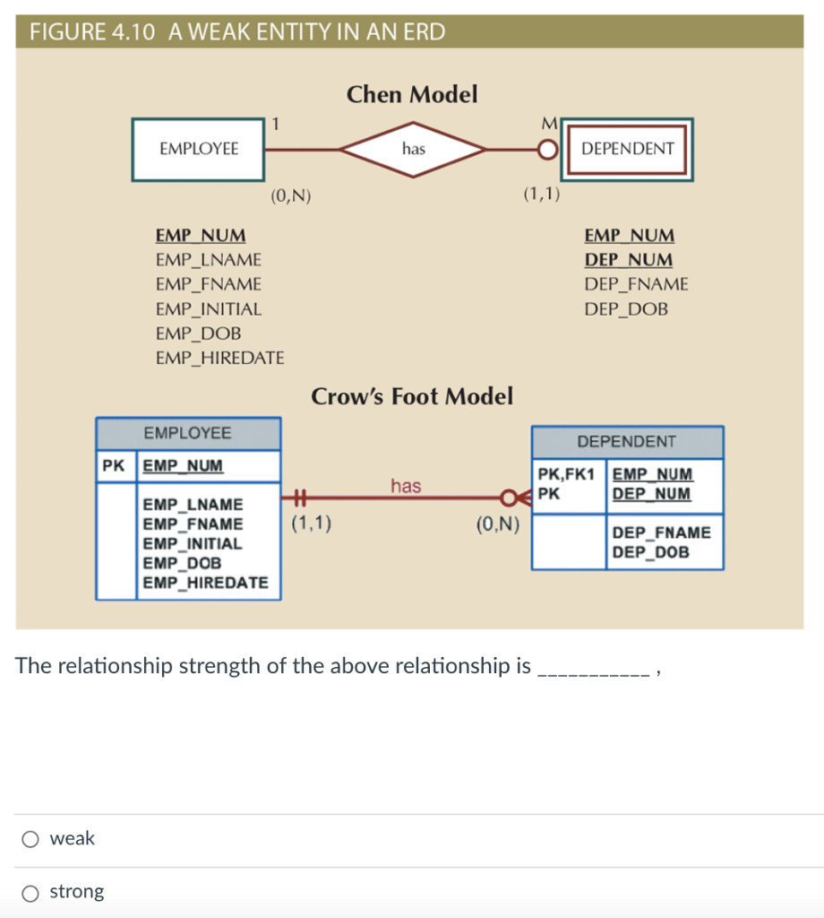 FIGURE 4.10 A WEAK ENTITY IN AN ERD Chen Model 1