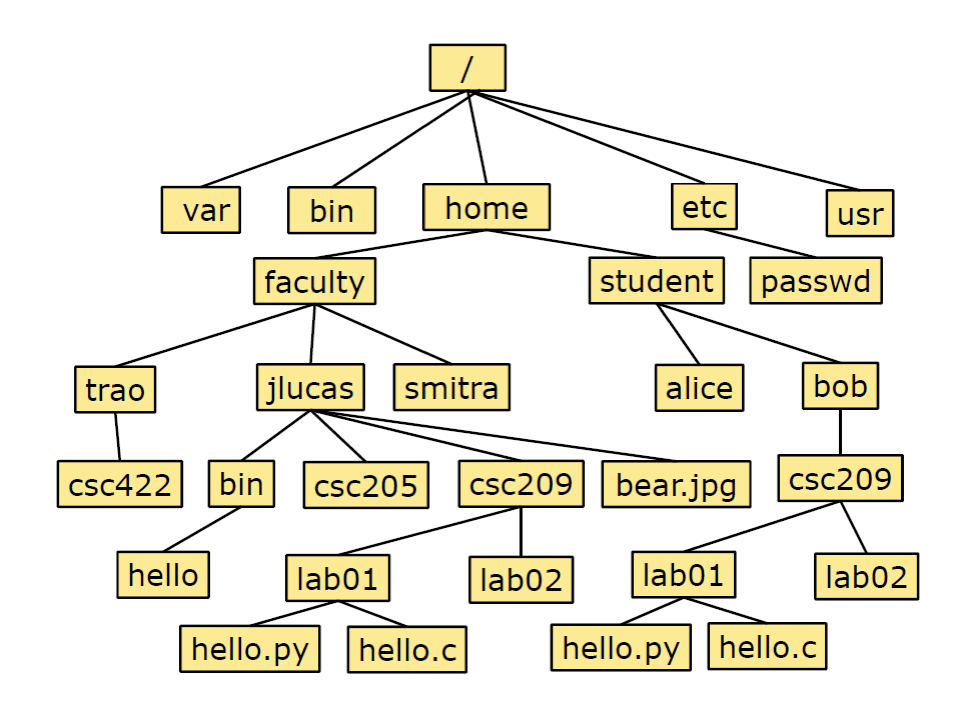  Using Linux and the picture provided. 9. Enter on Blackboard Will