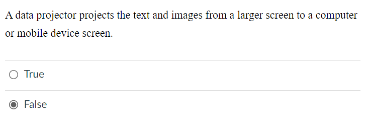  A data projector projects the text and images from a larger