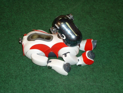 Given : Example 1 : An example of application - Soccer-Playing Robot.