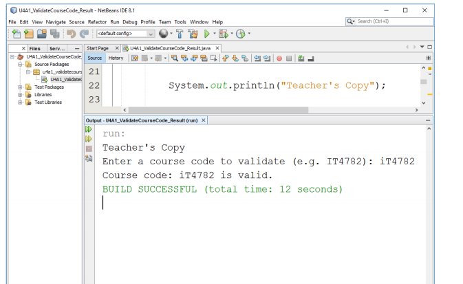 design and code a Java console application that validates the data entry