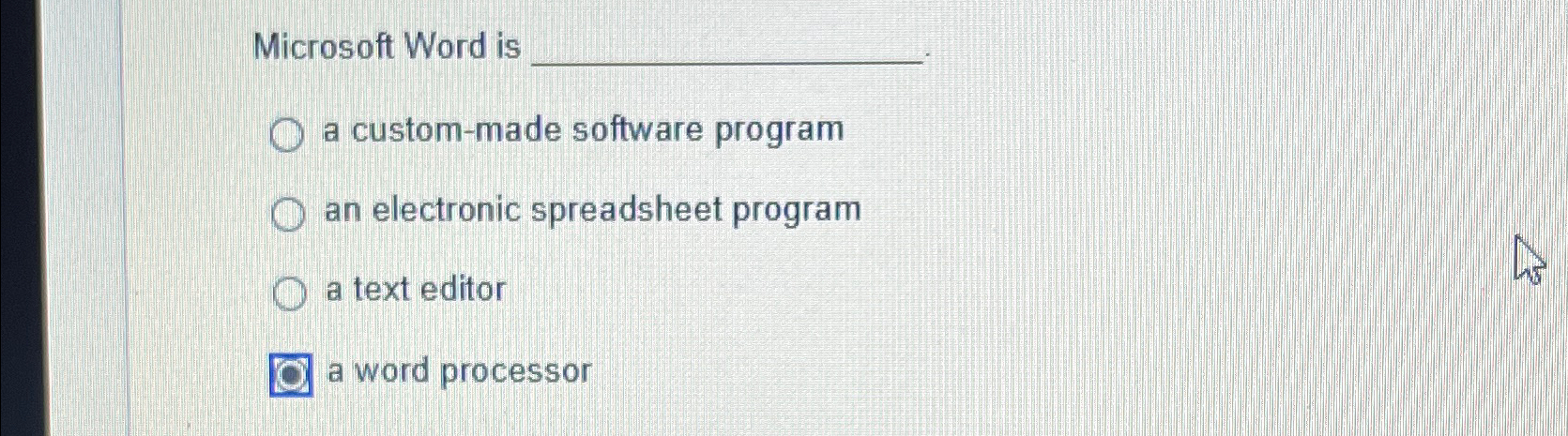  Microsoft Word is a custom-made software program an electronic spreadsheet program