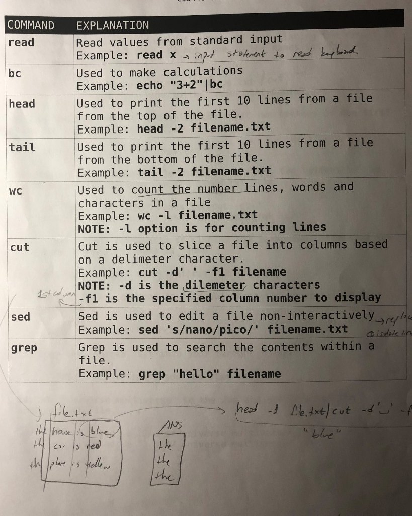 you. 4. GRADE PROBLEM (DIFFICULT PROBLEM) Write a bash script that reads