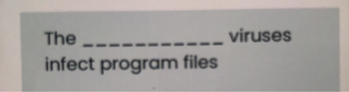  The - viruses infect program files Directory is a container to