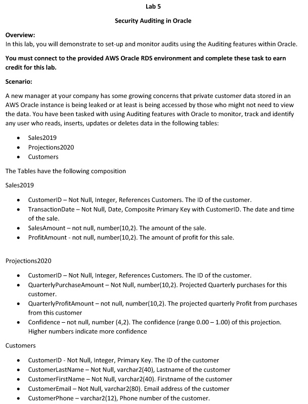 must connect to the provided AWS Oracle RDS environment and complete these