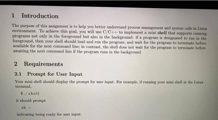  Write an C++ shell program that can run other programs both