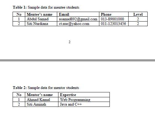 currently runs. The students are divided into two groups, mentors and mentees.