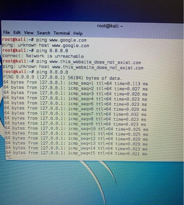  kali linux why when i write ping www.google.com unknown host error.
