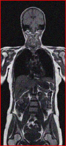 and will Rate you the best. Shown below are the medical images