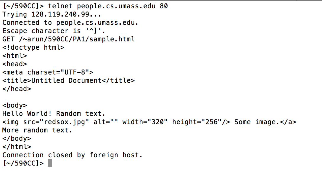 I want to do this assignment using TCP Socket programming and python