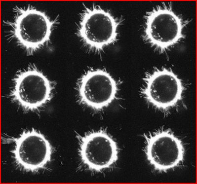 this. 2 Exercise Part 1: Create the following custom MATLAB functions so