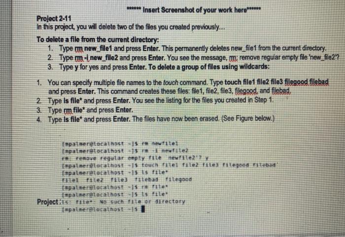root file system directory ) *** Show Actual Screen results here ***