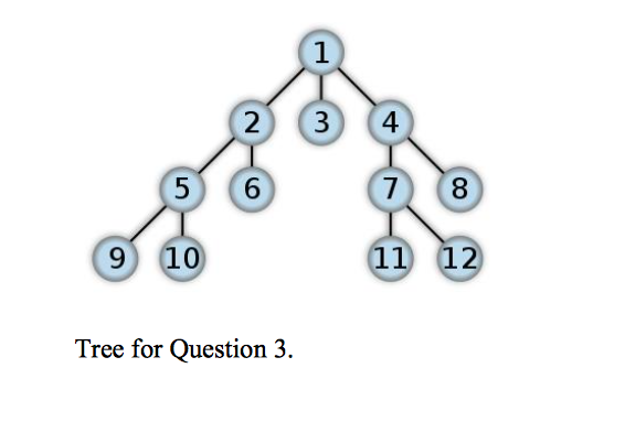 a graph where leaves are not connected to any other node than