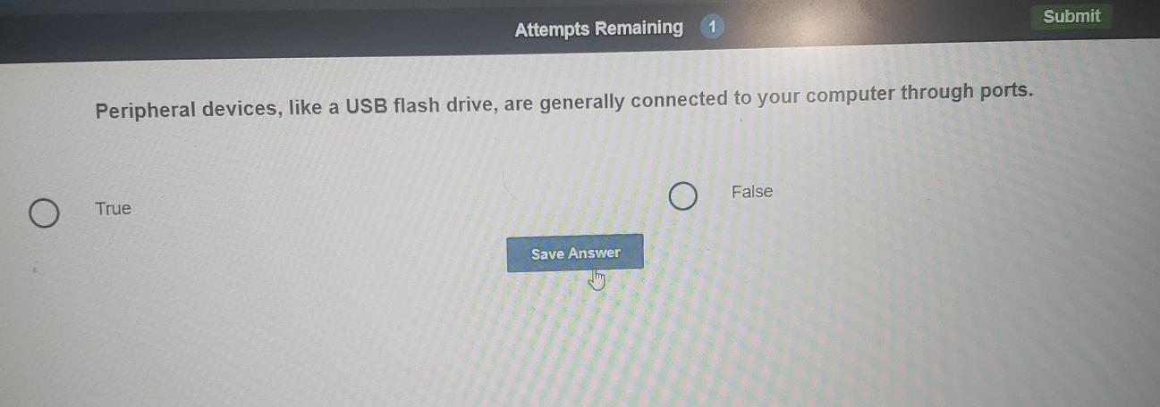 Attempts Remaining 1 Submit Peripheral devices, like a USB flash drive,
