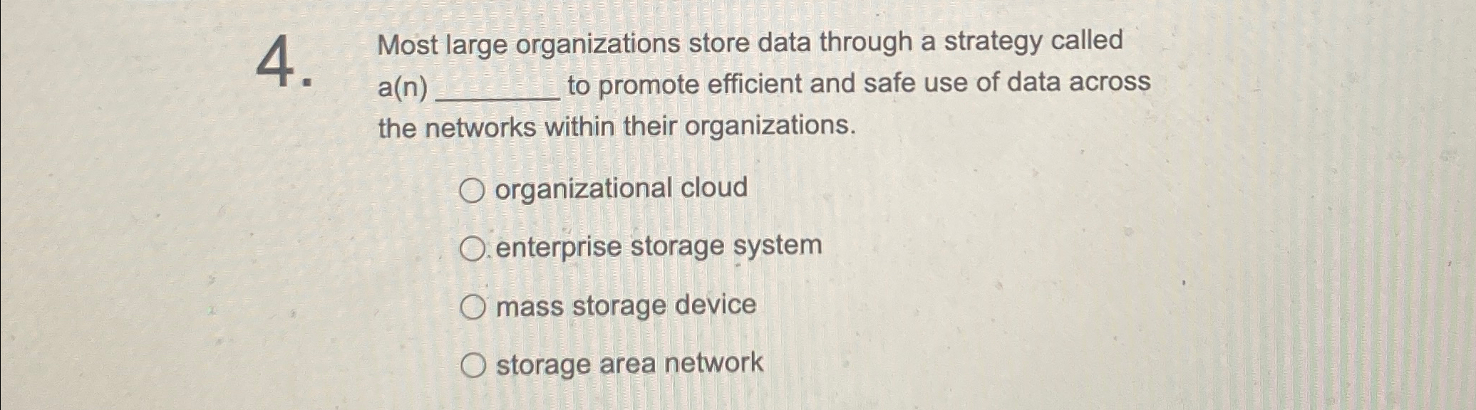  Most large organizations store data through a strategy called a(n) to
