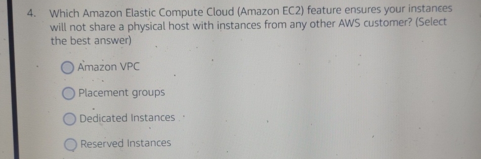  Which Amazon Elastic Compute Cloud (Amazon EC2) feature ensures your instances