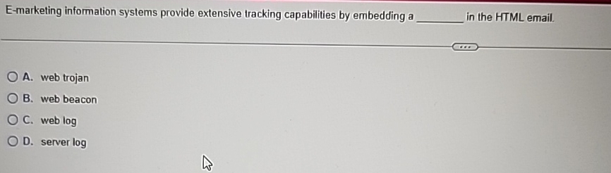  E-marketing information systems provide extensive tracking capabilities by embedding a in