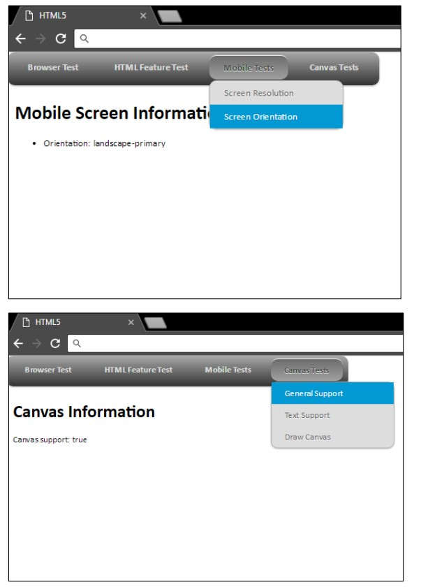 2) Outline compatible HTML5 features, 3) Display basic screen information, and 4)