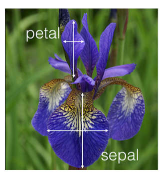 his/her loan. Tid Home Marital Annual Defaulted Owner Status Income Borrower 1