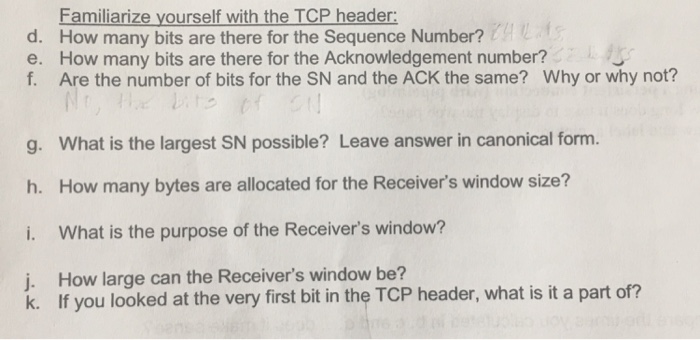 TCP header 