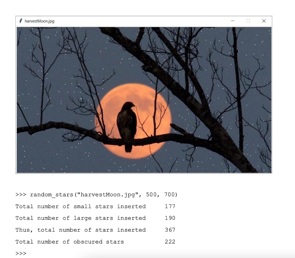 a random number of stars at random positions in the night sky