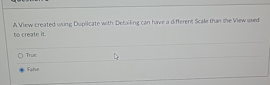  A View created using Duplicate with Detailing can have a different