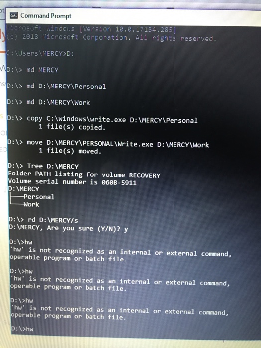 COMMANDS above that executed very well. I need help with the batch