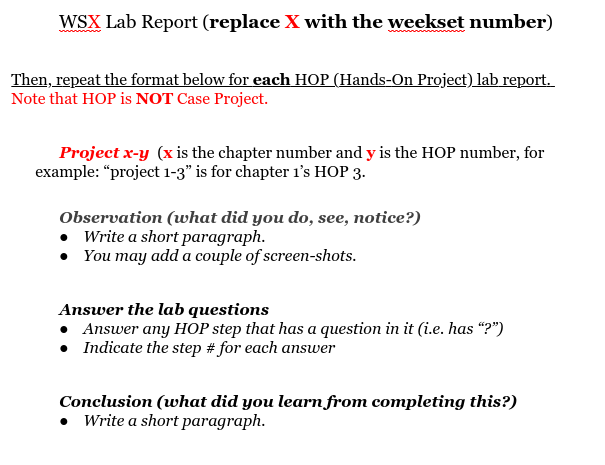  need help with labs. WSX Lab Report (replace X with the
