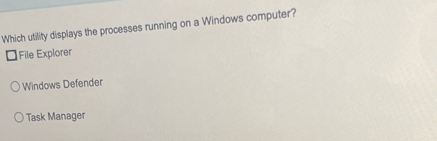  Which utility displays the processes running on a Windows computer? File
