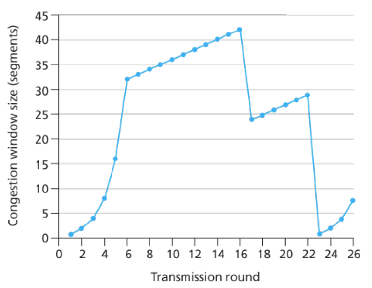 Assuming TCP Reno is the protocol experiencing the behavior shown in the