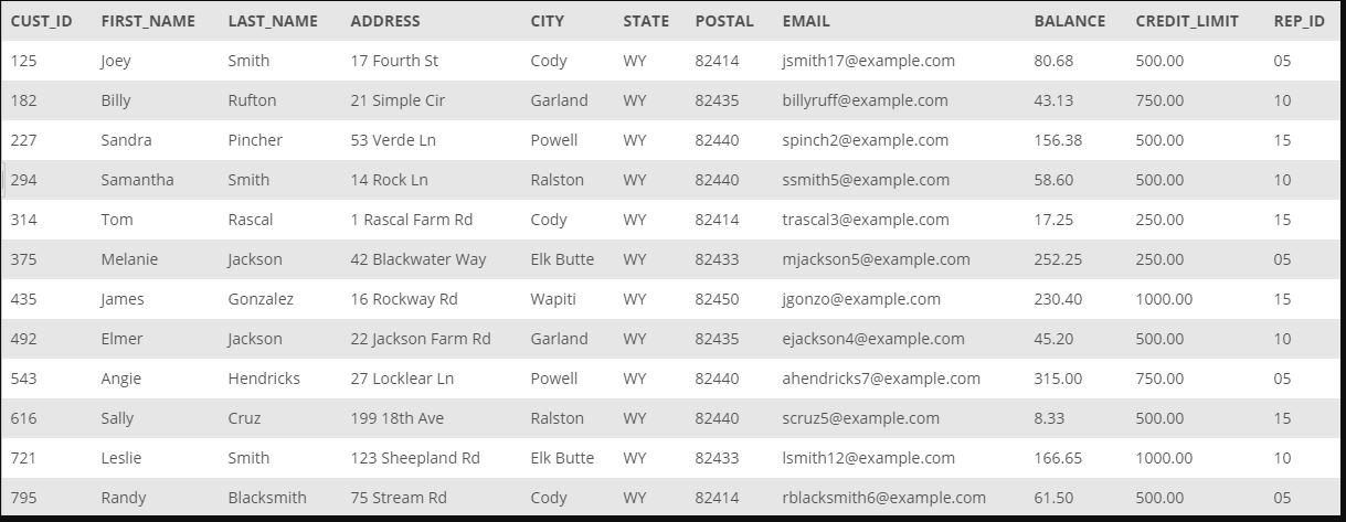 You want to return data from the CUSTOMER table only for a