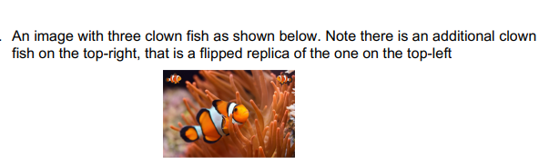 have been provided with an image of two clown fish as shown