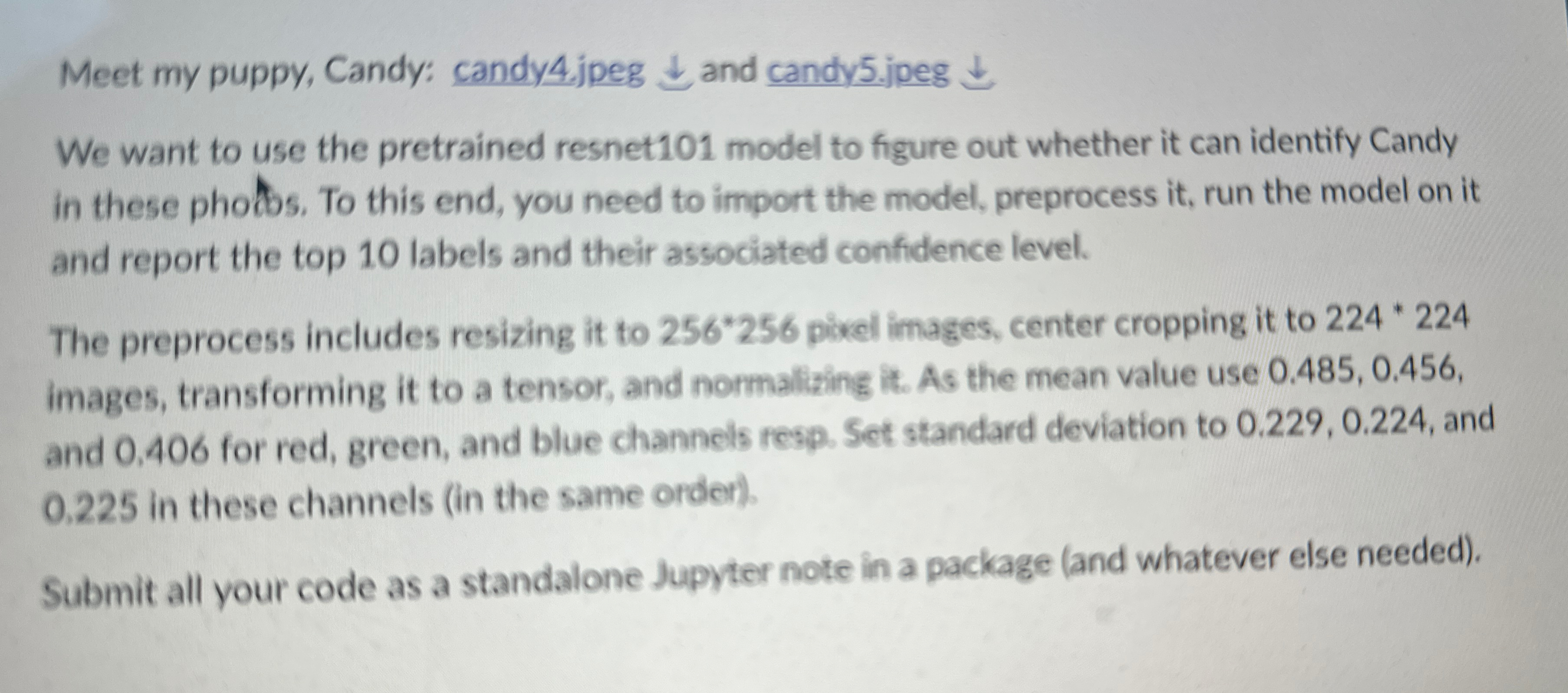 image text in transcribed