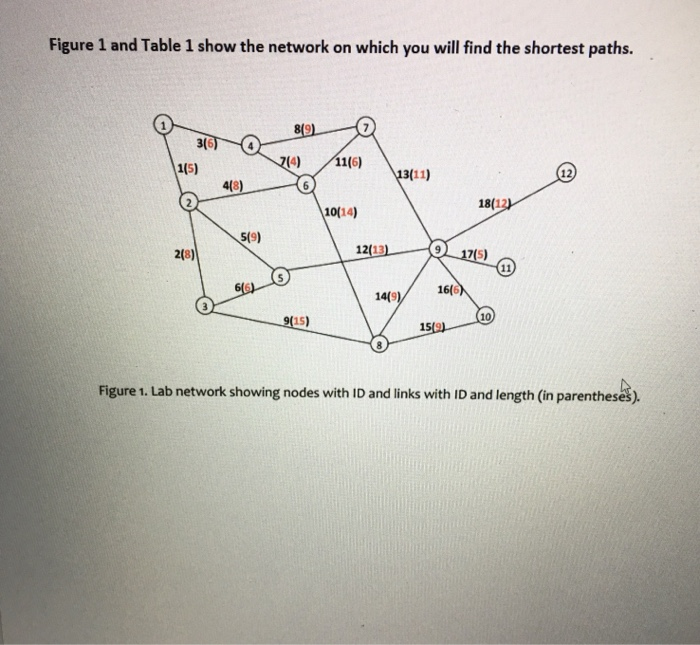 Edsger Dijkstra (1930-2002) to solve the network shortest path problem in this