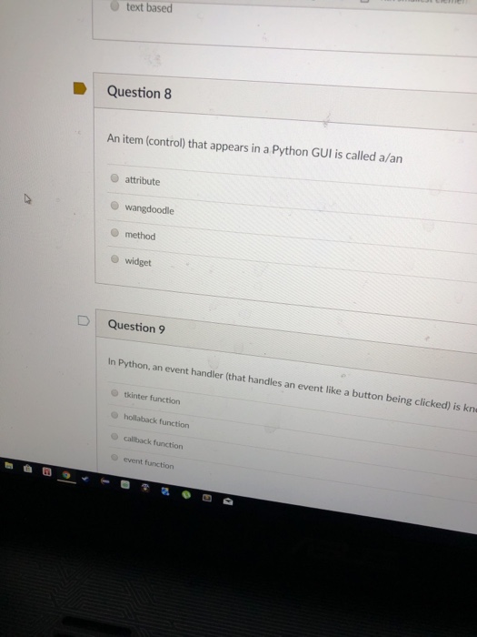  text based Question 8 An item (control) that appears in a