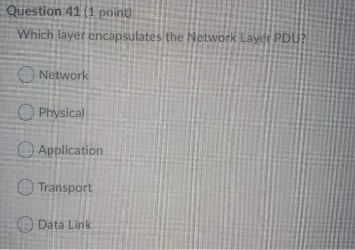  Question 41 (1 point) Which layer encapsulates the Network Layer PDU?