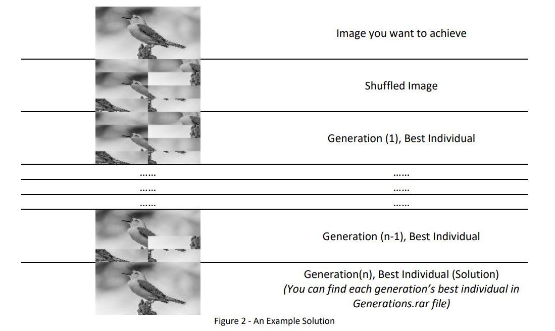 a genetic algorithm that solves an image puzzle. A genetic algorithm consists